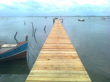 Trapiches auxiliam pescadores artesanais do municpio