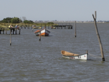Ilha dos Marinheiros onde acontecer� a I Volta Ecol�gica