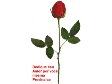 Logo do Programa Sade da Mulher