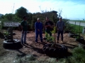 Equipe fez plantio de mudas