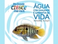  - Cr�dito: Divulga��o 