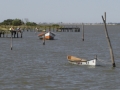 Ilha dos Marinheiros onde acontecer� a I Volta Ecol�gica