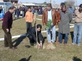 Plantio de mudas marcou inaugurao da praa So Joo