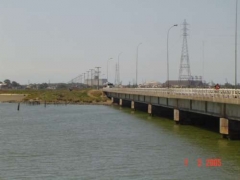 Saco da Mangueira