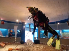 Museu Oceanogrfico 
