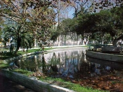 Praa Tamandar