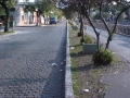 Rua a beira do canalete