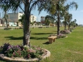 Floreiras
