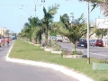 Canteiro central