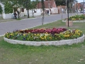 Canteiro central