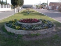 Canteiro central