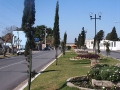 Canteiro(vista da Av. Buarque de Macedo)
