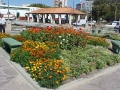 Canteiro