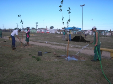 Plantio de mudas de �rvores j� come�ou no bairro Cohab IV