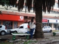  - Crdito: Divulgao