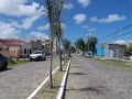 Plantio SMMA/Odebrecht, Rua Visconde de Mau - Crdito: Luiz Arthur Filho