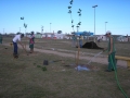 Plantio de mudas de �rvores j� come�ou no bairro Cohab IV