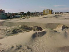 Dunas