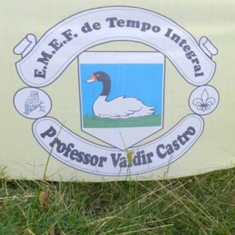 Divulgação
